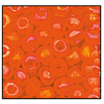 11/0 Matte Tr. Orange Iris Czech Seed Bead (1/2 Kilo) Preciosa #91030M