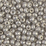 5/0 Silver Baroque Miyuki Seed Bead (100 Gm) #3956