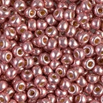 8/0 Duracoat Galvanized Dark Coral Miyuki Seed Bead (250 Gm) #4209