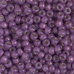 8/0 Duracoat Silver Lined Dyed Dark Lilac Miyuki Seed Bead (250 Gm) #4248