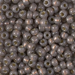 8/0 Duracoat Silver Lined Dyed Taupe Miyuki Seed Bead (250 Gm) #4250