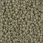 8/0 Duracoat Dyed Opaque Cactus Miyuki Seed Bead (250 Gm) #4474