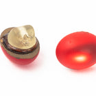 7mm X 9.5mm Matte Ruby Oval Glass Button #BUT076-General Bead