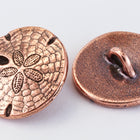 17mm Antique Copper TierraCast Sand Dollar Button (15 Pcs) #CK644-General Bead