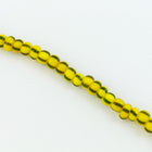 10/0 Yellow with Green Stripe Czech Seed Bead (1/2 Kilo) Preciosa #83520