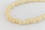 6/0 Ceylon Cream Seed Bead (40 Gm, 1/2 Kilo) #CSB055-General Bead
