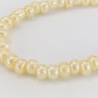 8/0 Ceylon Cream Czech Seed Bead (1/2 Kilo) Preciosa #46113