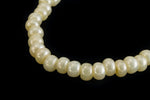 8/0 Ceylon Cream Czech Seed Bead (1/2 Kilo) Preciosa #46113