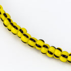 6/0 Yellow/Dark Brown Stripe Seed Bead (10 Gm, 1/2 Kilo) #CSB313-General Bead