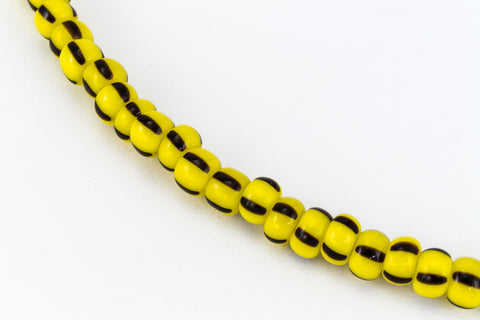 6/0 Yellow/Dark Brown Stripe Seed Bead (10 Gm, 1/2 Kilo) #CSB313-General Bead