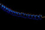 10/0 Transparent Capri Blue Czech Seed Bead (1/2 Kilo) Preciosa #60300
