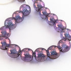 8mm Gold Luster Amethyst Druk Bead (25 Pcs) #GAF084-General Bead