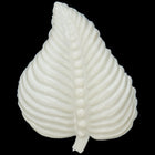 62mm x 78mm Opaque Off White Leaf #UP303-General Bead