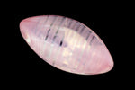 7mm x 15mm Rose Zebra Smooth Navette Point Back Cabochon (2 Pcs) #XGP026-C-General Bead